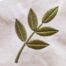 FEF-10000003_Satin-Leaf-Branch