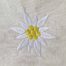 Edelweiss flower embroidery design with white petals and yellow center stitched on cotton